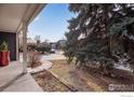 View from the front porch, showcasing the front yard and neighborhood at 908 Clover Cir, Lafayette, CO 80026