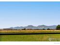 Open land with distant mountain views at 6789 Niwot Rd, Longmont, CO 80503