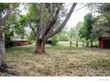 Large backyard with mature trees and a small shed at 1675 Upland Ave, Boulder, CO 80304