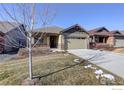 House exterior with a tree and driveway at 724 Widgeon Cir, Longmont, CO 80503