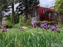 Charming red and gray home with purple irises in the front yard at 12041 Twilight St, Longmont, CO 80503