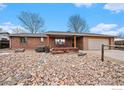 Brick ranch home with landscaped front yard, featuring a large planter and spacious driveway at 1221 Cedar Dr, Berthoud, CO 80513