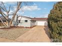 Front view of a ranch home with a large tree, driveway, and updated landscaping at 1310 Toedtli Dr, Boulder, CO 80305