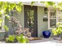 Close-up view of the front door adorned with greenery and a blue planter, showcasing the home's entrance at 2424 4Th St, Boulder, CO 80304