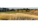 Scenic view of the golf course, featuring lush green fairways and manicured landscape surrounded by tall grass at 15813 Xanthia Way, Thornton, CO 80602