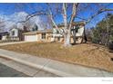 House exterior showcasing landscaping and a large tree at 965 W Willow St, Louisville, CO 80027