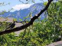 Scenic view of the Flatirons mountains as seen through lush trees and foliage at 695 Manhattan Dr # 216, Boulder, CO 80303