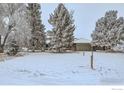 Spacious home featuring a large front yard with mature trees, perfect for enjoying the outdoors at 10075 N 75Th St, Longmont, CO 80503