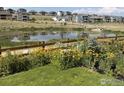 A tranquil pond surrounded by lush vegetation and flowering plants at 18673 W 94Th Ln, Arvada, CO 80007