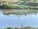 A view of a pond with a heron standing in the water at 18673 W 94Th Ln, Arvada, CO 80007