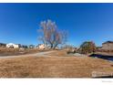 Community park and playground with picnic benches, sidewalks and mature shade trees at 9685 Bellaire Ln, Thornton, CO 80229