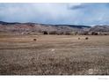 Pastoral property showcasing horses grazing in a wide-open field with scenic mountain views at 8602 N 39Th St, Longmont, CO 80503