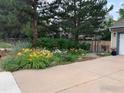 Beautiful front yard landscaping featuring mature trees, vibrant flowers, and a well-kept lawn at 1555 Sumac Ave, Boulder, CO 80304