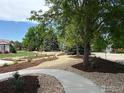 Beautifully landscaped front yard with winding concrete path and a variety of trees at 2604 Elmhurst Cir, Longmont, CO 80503
