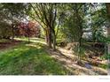 Picturesque backyard featuring mature trees, lush greenery, and a creek running through the property at 9539 N 89Th St, Longmont, CO 80503