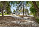 Charming front exterior with a well-manicured lawn and mature trees, offering privacy at 10587 N 95Th St, Longmont, CO 80501