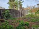 Backyard view showcases a tall wooden fence, lush foliage, and garden beds with emerging greenery and mulch at 339 S Hoover Ave, Louisville, CO 80027