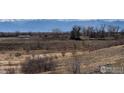 View of the landscape at 4401 Garnet Way, Mead, CO 80504