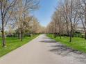 Long private driveway lined with mature trees leading to a peaceful property at 9610 Avocet Ln, Lafayette, CO 80026