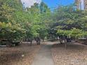 Serene community pathway lined with lush trees and landscaping at 11230 Osage Cir # B, Northglenn, CO 80234