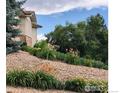 Sloping landscaped yard featuring colorful flowers and lush greenery at 10113 Thunder Run, Littleton, CO 80125