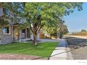 Lawn view of house with green grass, mature tree, and charming front yard at 2437 Maplewood E Cir, Longmont, CO 80503