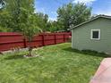 Lush backyard featuring vibrant lawn, a red fence and a shed at 117 Welch Ave, Berthoud, CO 80513