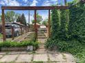 Backyard garden featuring raised beds and a lush, verdant trellis at 117 Welch Ave, Berthoud, CO 80513