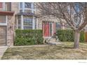 Close up of a brick home's entrance, showing manicured bushes and a decorative tree on a grassy lawn at 1534 Chukar Dr, Longmont, CO 80504