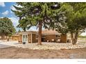 Ranch-style home with mature trees, a rock garden, outdoor seating areas perfect for enjoying the outdoors at 7390 Ute Hwy, Longmont, CO 80503