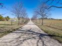 Picturesque tree-lined gravel driveway leading to a beautiful country home and pastures at 2610 W County Road 4, Berthoud, CO 80513