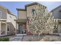 Charming two-story home featuring neutral siding, complemented by a blooming tree in the front yard at 61 Avocet Ct, Longmont, CO 80501