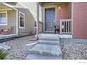 Inviting front porch with concrete steps leading to a stylish gray front door and well-maintained landscaping at 61 Avocet Ct, Longmont, CO 80501