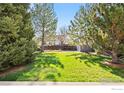 Lush backyard with green lawn and mature trees, creating a serene and private outdoor space at 10894 Depew Pl, Westminster, CO 80020