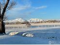Picturesque snow-covered mountains and vast open fields create a serene landscape view at 2994 75Th St, Boulder, CO 80301
