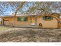Charming single-story brick home with beautiful mature trees in the front yard at 9840 W 41St Ave, Wheat Ridge, CO 80033