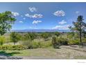Expansive backyard view featuring lush greenery, open space, and distant mountains under a bright sky at 10690 County Road 1, Longmont, CO 80504