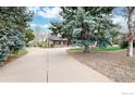 Long concrete driveway winding through mature trees on a beautifully landscaped lot, offering privacy and curb appeal at 600 Ramona Ct, Berthoud, CO 80513
