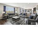 Inviting living room with stylish gray sofas, modern rug, and large windows for plenty of natural light at 450 Pikes View Dr, Erie, CO 80516