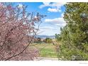 Scenic backyard view with blossoming trees and a glimpse of the mountains in the distance at 4725 Spine Rd # E, Boulder, CO 80301