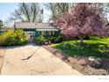 Landscaped front yard with a cozy single-story home and a colorful flowering tree at 1542 Kilkenny St, Boulder, CO 80303