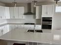 Well-equipped kitchen with white cabinets, a stainless steel range hood, and a large center island at 3672 Outcrop Ct, Castle Rock, CO 80108