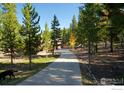 Long paved driveway leading to a charming home surrounded by lush trees in a mountain setting at 10649 Christopher Dr, Conifer, CO 80433