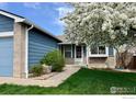 Charming single-Gathering home featuring a well-kept lawn and a beautiful tree in full bloom at 13146 Raritan Ct, Westminster, CO 80234