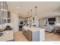 Bright and spacious kitchen with large island, pendant lighting, stainless steel appliances, and an adjacent living area at 2719 Crystal Springs Ln, Longmont, CO 80503