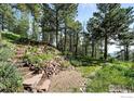 Backyard steps with stone edging nestled in a wooded setting at 74 Sky Trail Rd, Boulder, CO 80302