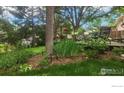 Tranquil backyard featuring a deck, mature trees, and lush green lawn at 308 Baron Ave, Lafayette, CO 80026