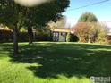 Expansive backyard featuring a large shed, mature trees, and a well-manicured lawn at 536 Tipple Pkwy, Frederick, CO 80530
