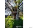 Wooden treehouse with a ladder surrounded by green grass, trees, and a wooden fence at 7929 Valmont Rd, Boulder, CO 80301