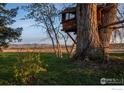 Picturesque treehouse with ladder and wood beam supports sits in a grassy yard with mountain views at 7929 Valmont Rd, Boulder, CO 80301